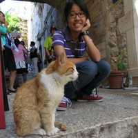 Chih-Ching with a random cat
